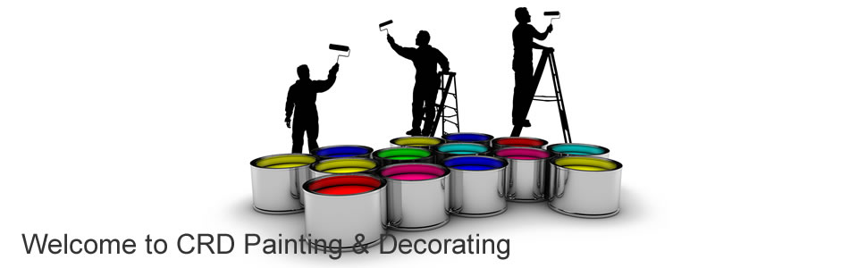 Professional Painter &  Decorator Devon